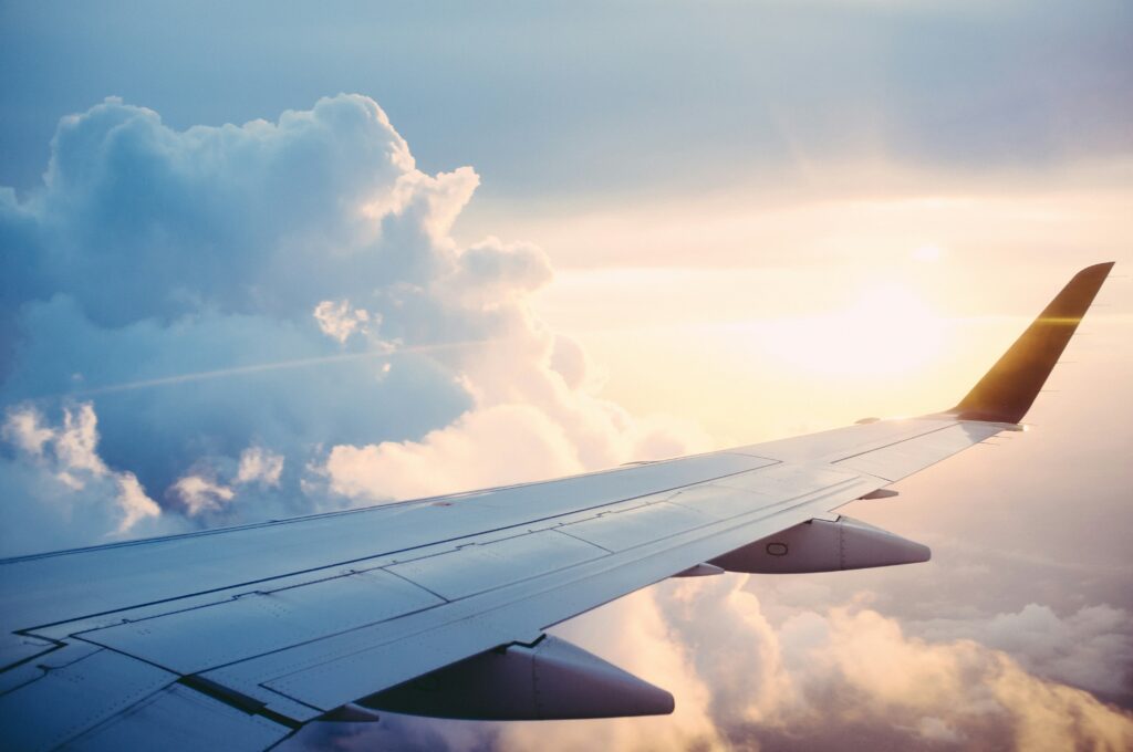 weird news October 18 2025 TSA airport security lobsters emotional support animals JFK smuggling bizarre