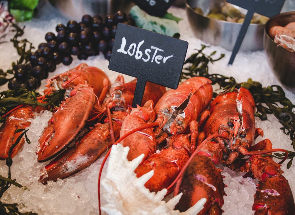 TSA agents finding live lobsters in an emotional support vest, a hilarious bizarre news October 2025 airport incident