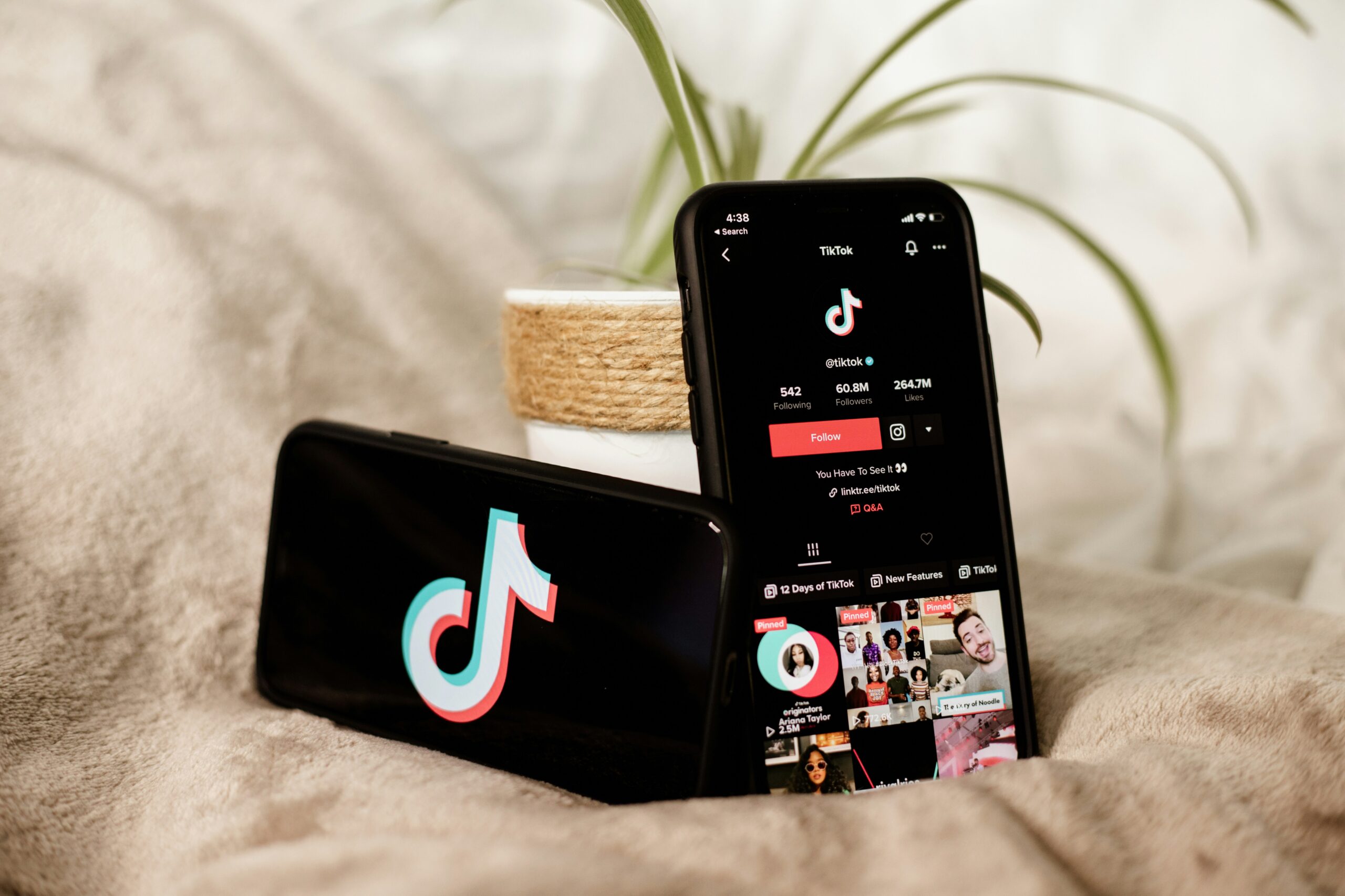 A phone screen displaying the TikTok logo with overlaid text 'DTB Challenge 2025' and cynical emojis, highlighting the viral trend and its inherent distrust message.
