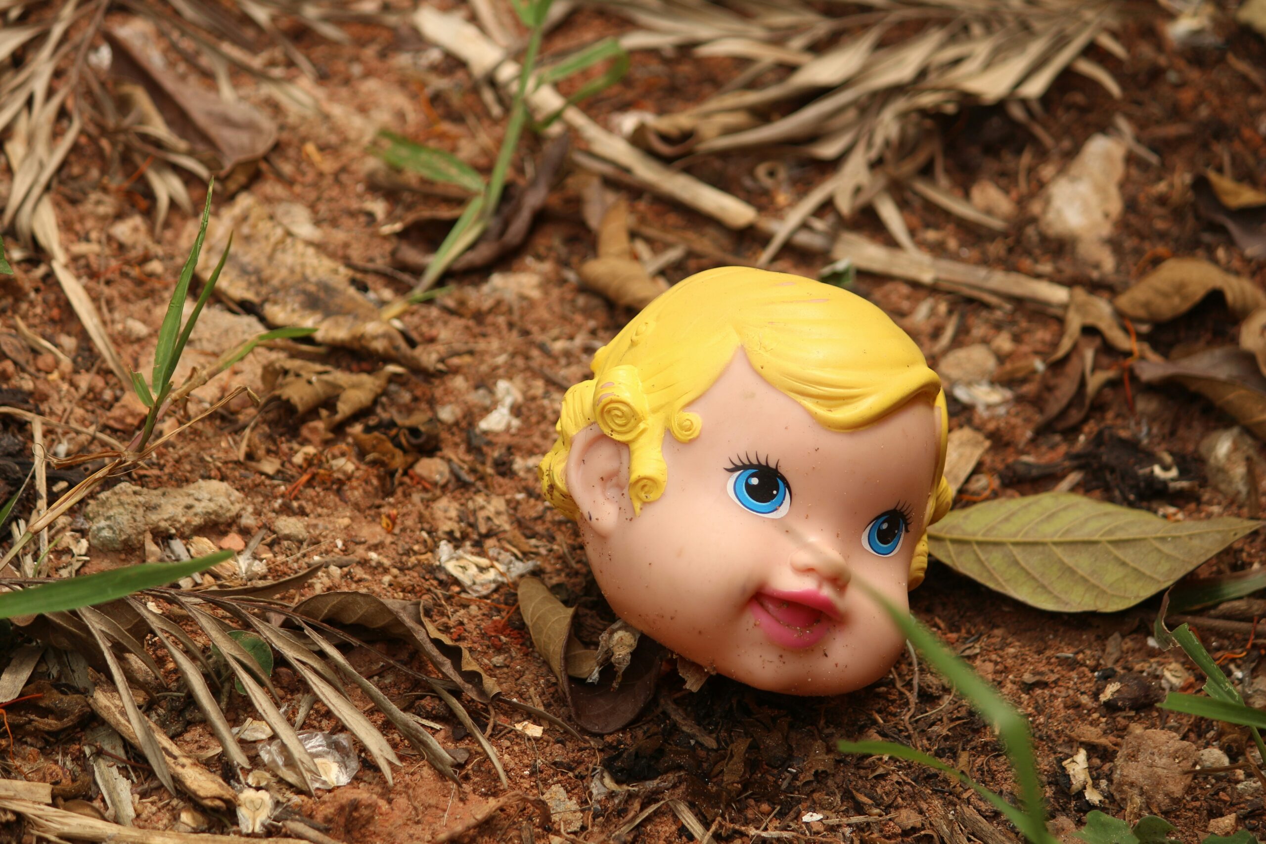 weird unusual news stories november 2025 viral breaking internet shocking