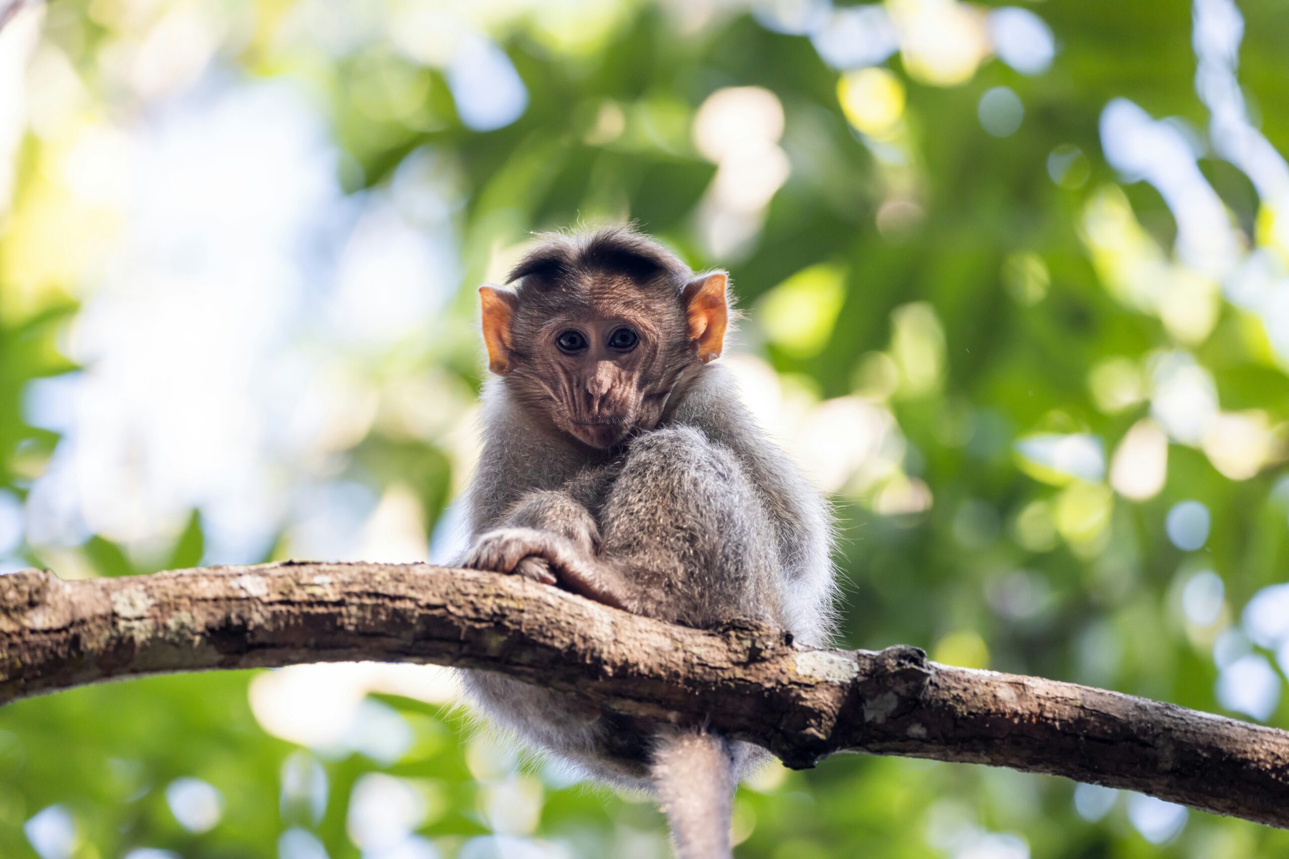 unusual news stories november 2025 viral shocking headlines worldwide