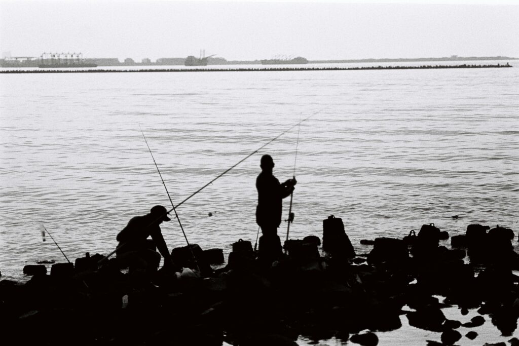 weird unusual news stories november 2025 fishing illegal uk diplomat vice president