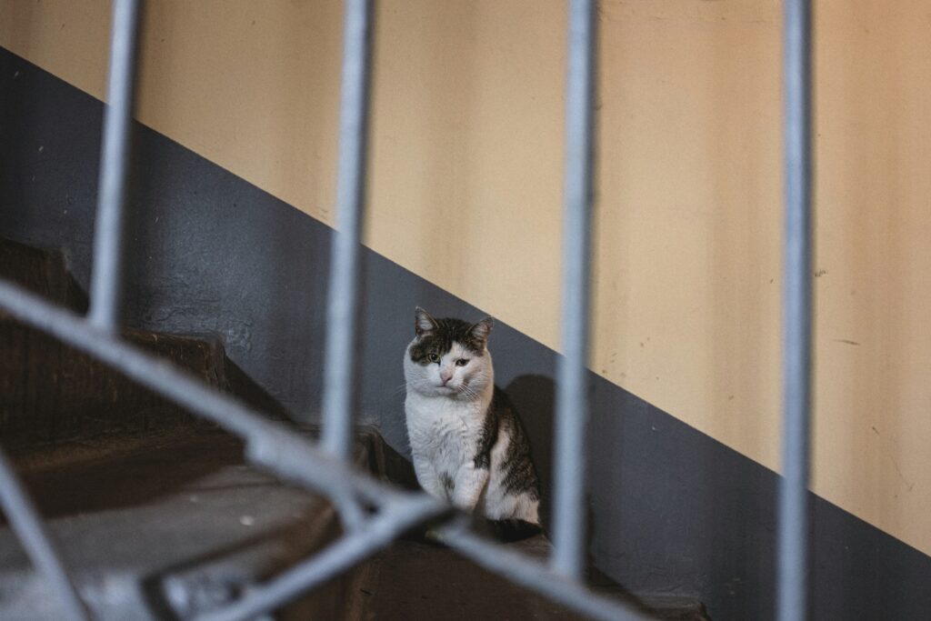 bizarre news stories november 2025 wont believe real insane viral